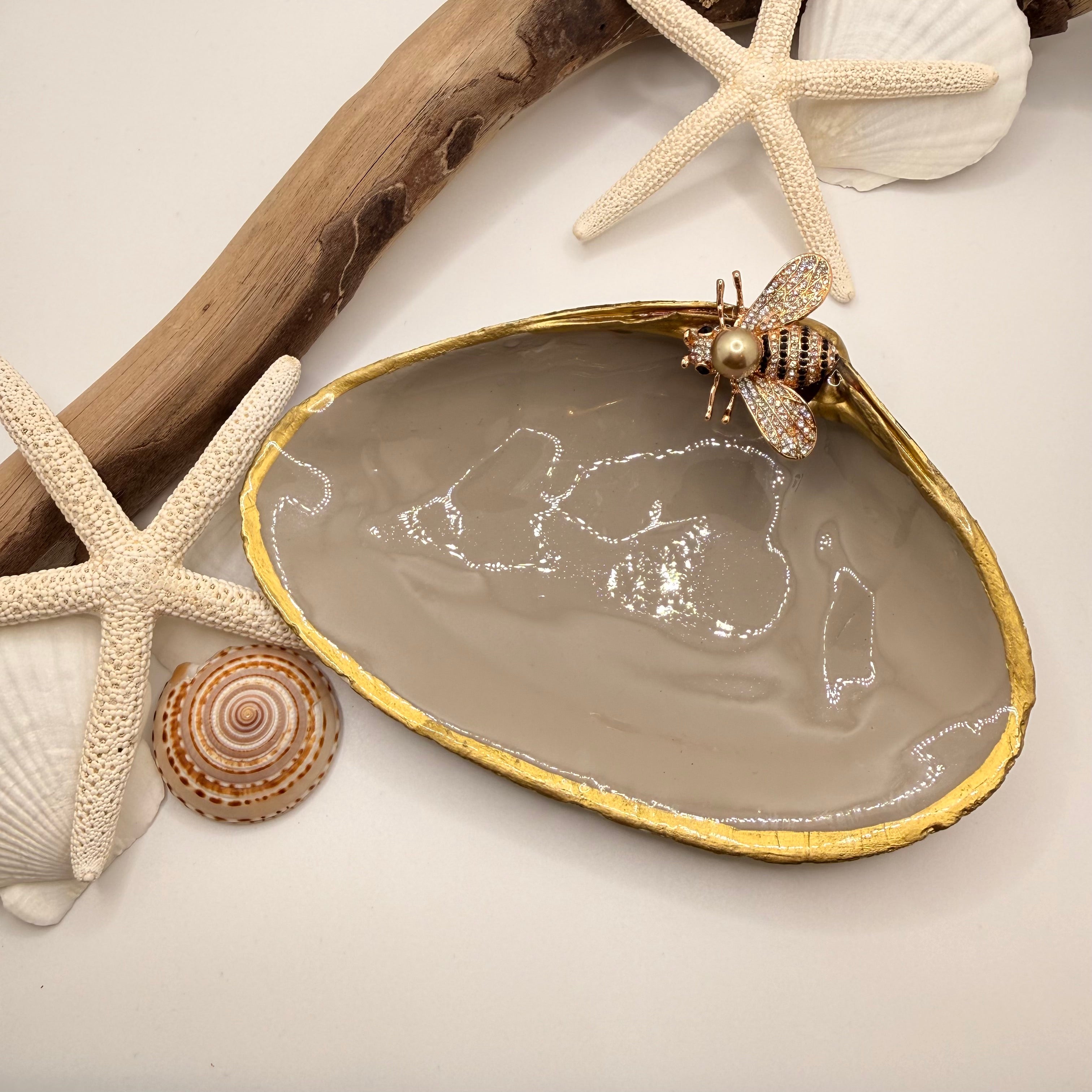 Tide to Treasure Clam Shell Trinket Dish
