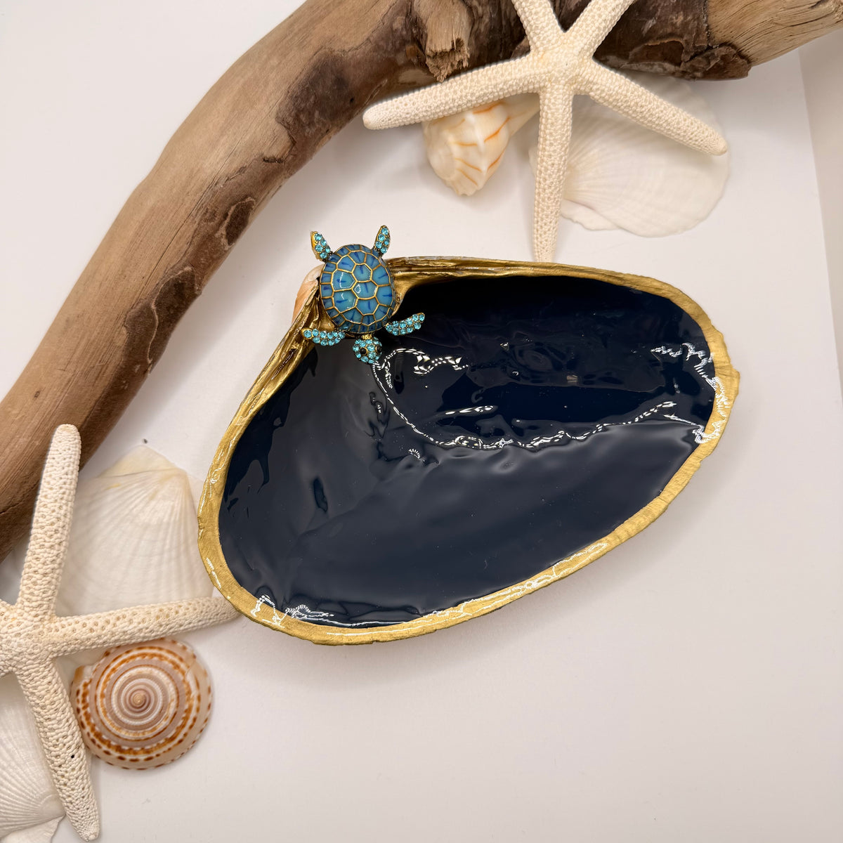 Tide to Treasure Clam Shell Trinket Dish