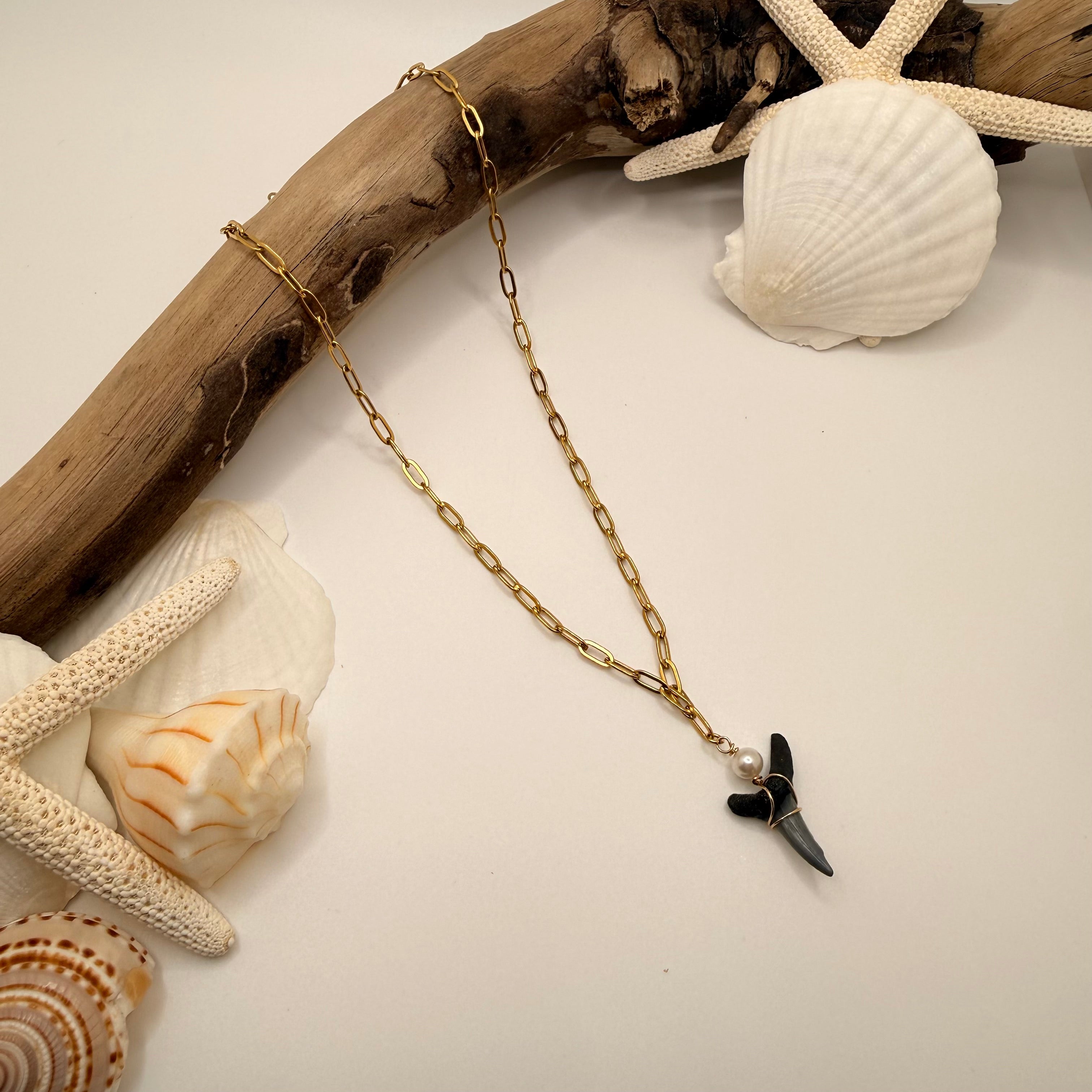 Siren’s Edge Shark Tooth