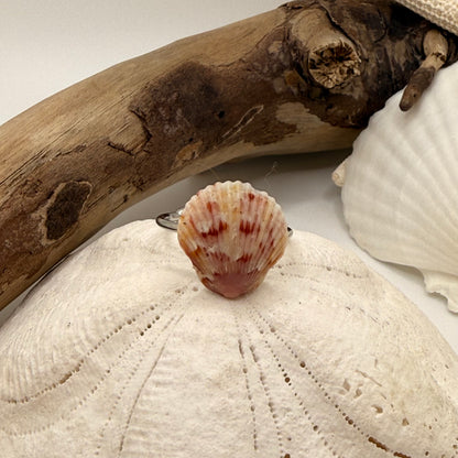 Sunrise Calico Scallop Ring