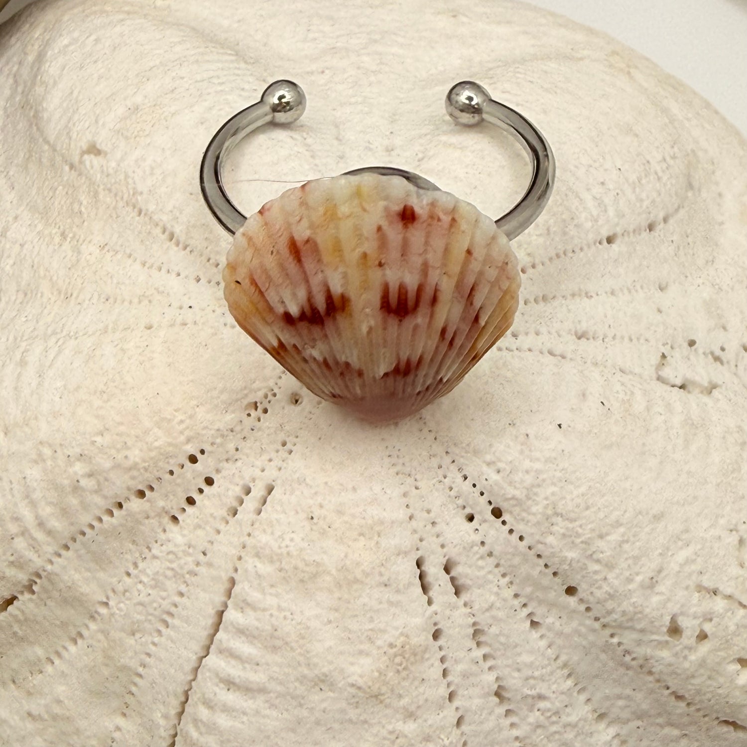 Sunrise Calico Scallop Ring
