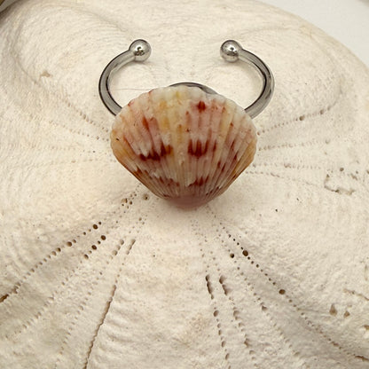 Sunrise Calico Scallop Ring