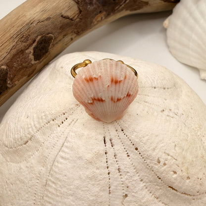 Sunrise Calico Scallop Ring