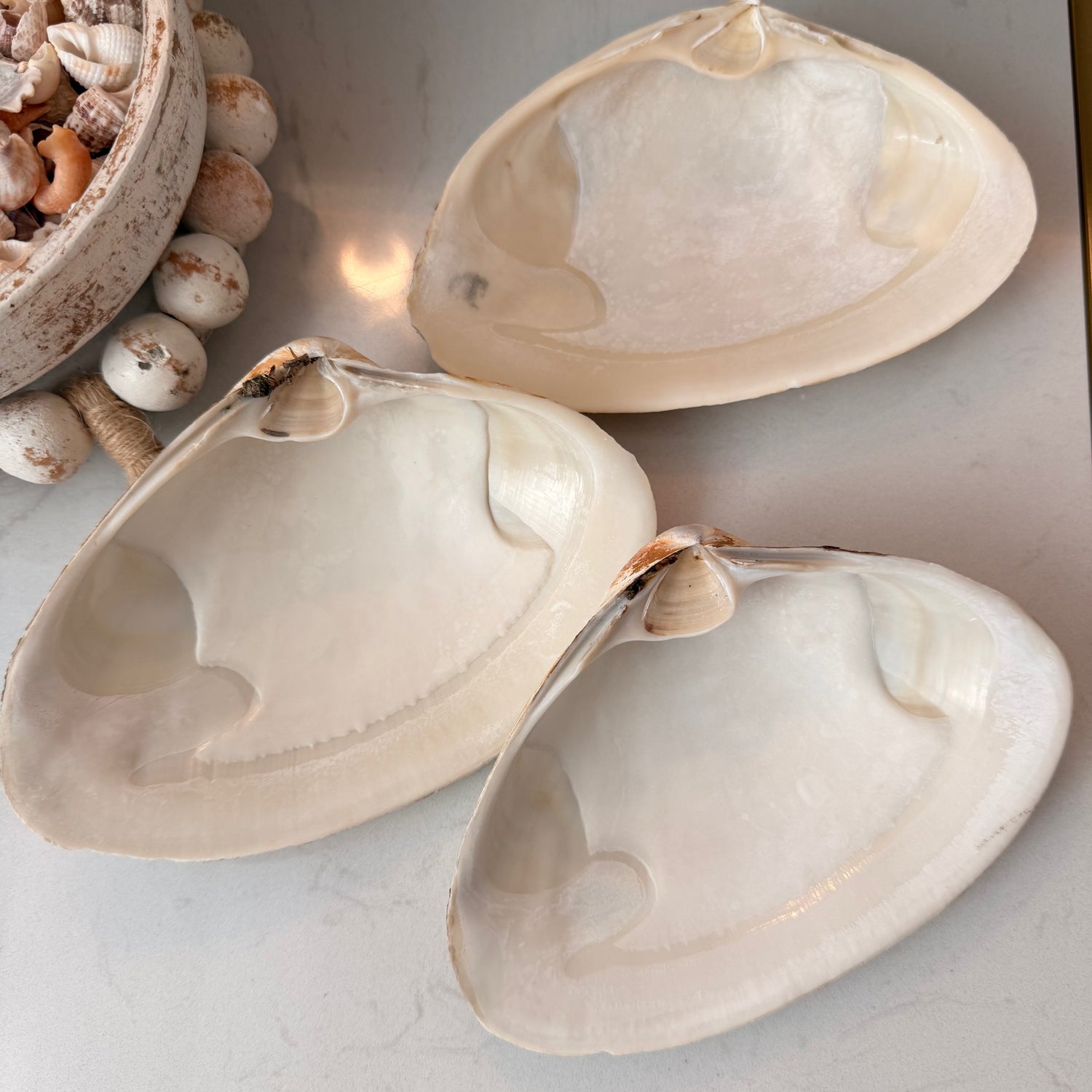 CUSTOM - Tide to Treasure Clam Shell Trinket Dish