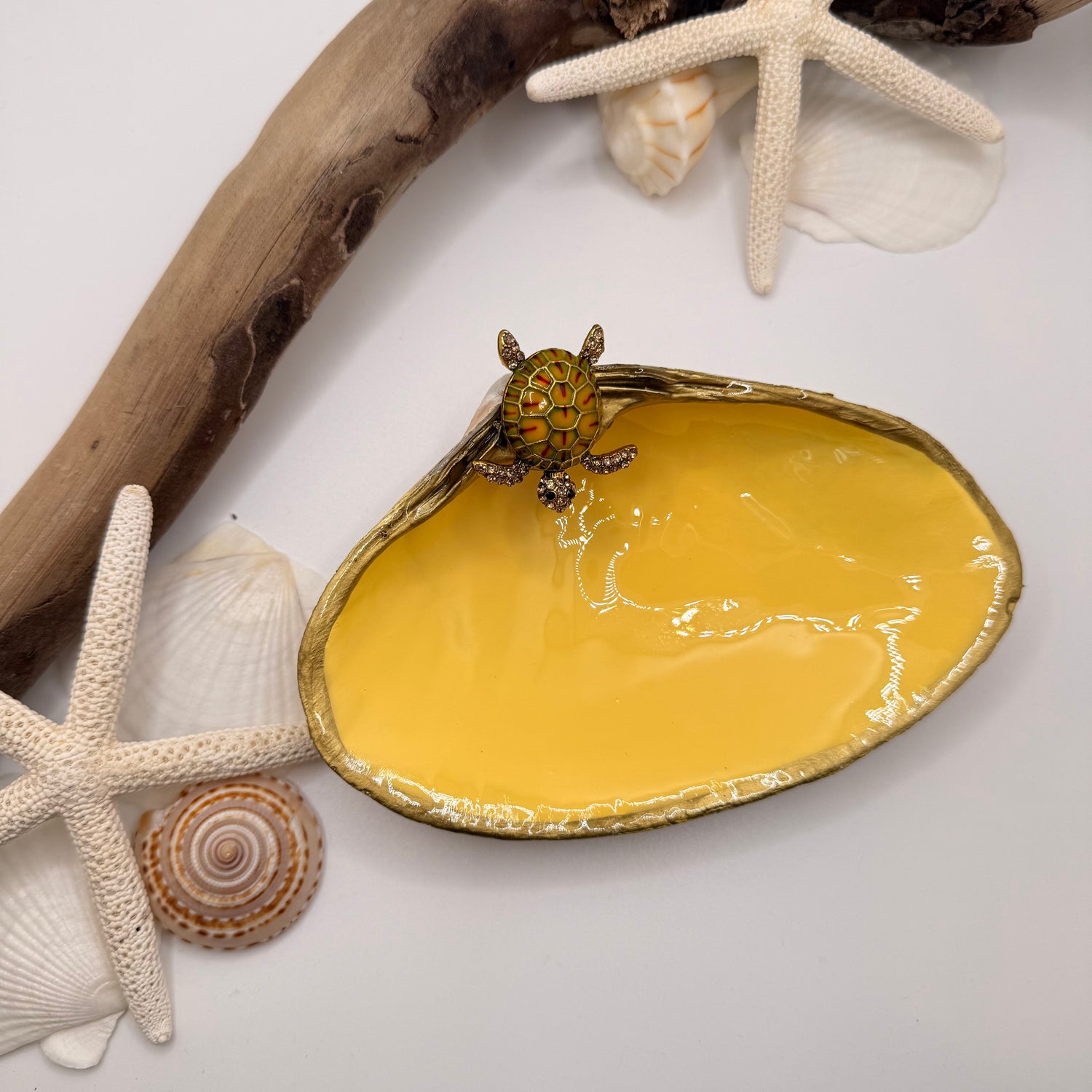 Tide to Treasure Clam Shell Trinket Dish