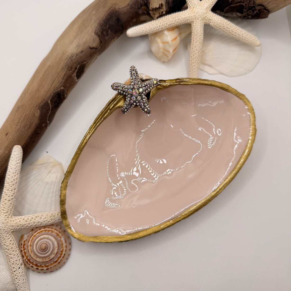 Tide to Treasure Clam Shell Trinket Dish